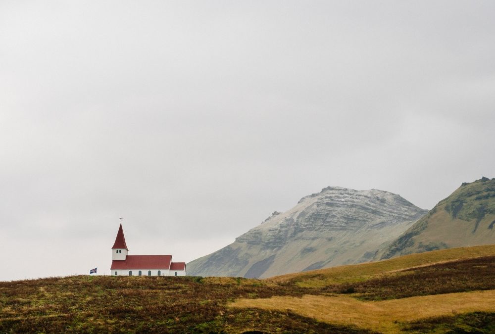 1688平台黄桃产品页面全面进入，尽享优质新鲜果品选择